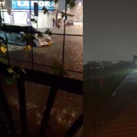 Video: Inundaciones y árboles caídos dejan fuertes lluvias en Cali