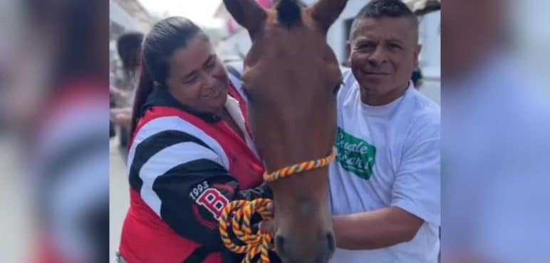 Video: Más de 70 caballos 'carretilleros' se "jubilaron" con un emotiva despedida