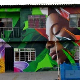 Flor del Porvenir: El mural de Infraestructura en el Bulevar de Oriente