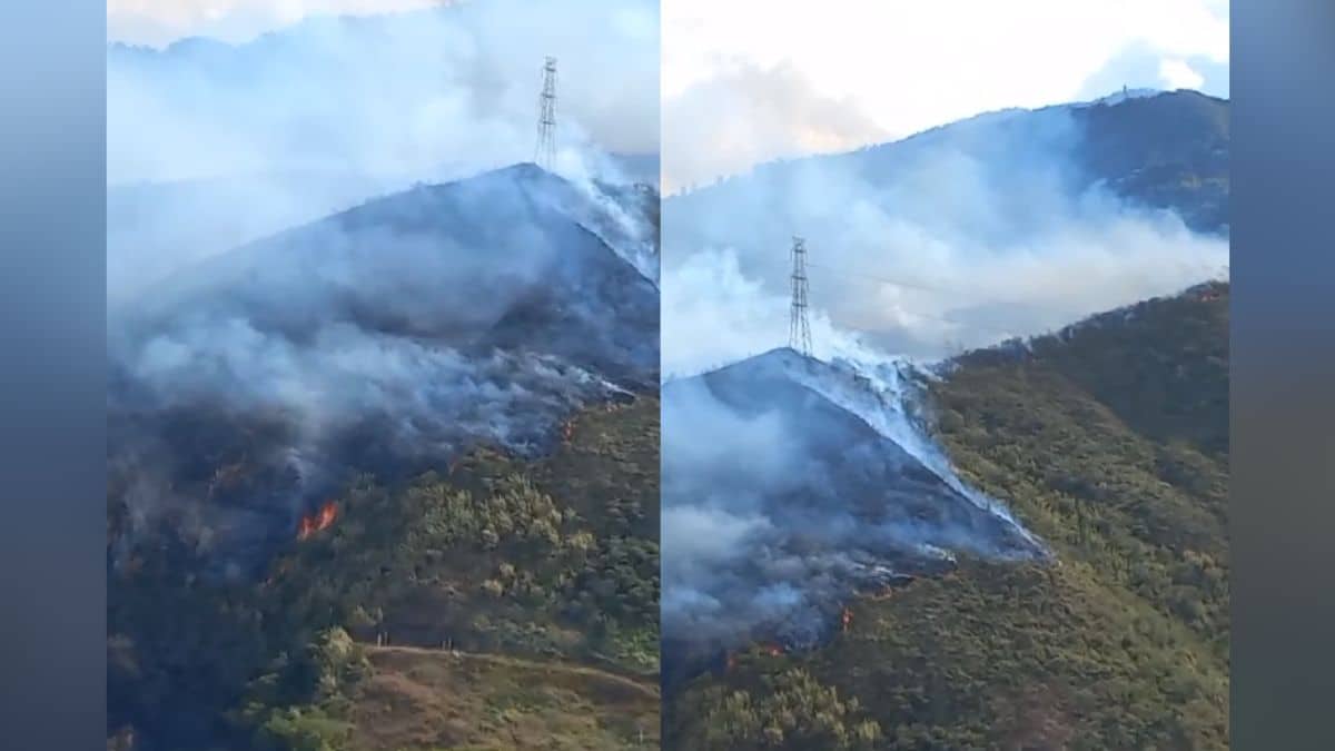¡Atención! Reportan incendio forestal en el oeste de Cali que amenaza al Jardín Botánico