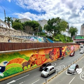 murales-del-tunel-mundialista-realmente-representan-la-cultura-calena-07-11-2023