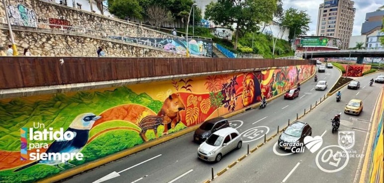 Murales del Túnel Mundialista dividen la opinión de los caleños: ¿Usted qué piensa?