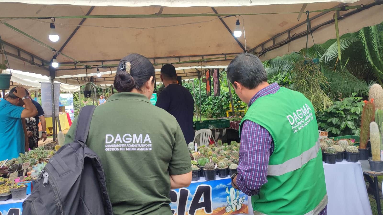 Dagma decomisó 6 unidades de orquídeas extraídas del bosque