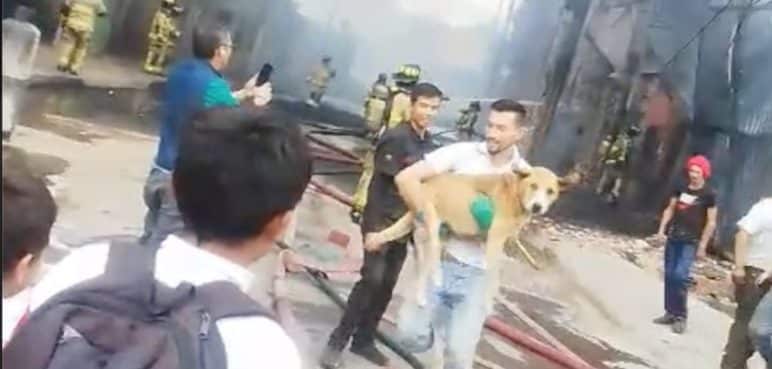 ¡Mejores amigos por siempre! Hombre salvó a perro en medio de un incendio