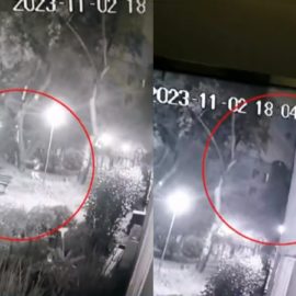 Video: Niña sobrevivió milagrosamente luego de caer de un sexto piso