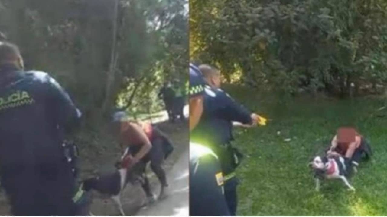 Capturan a una mujer que le ordenó a su perro atacar a un Policía