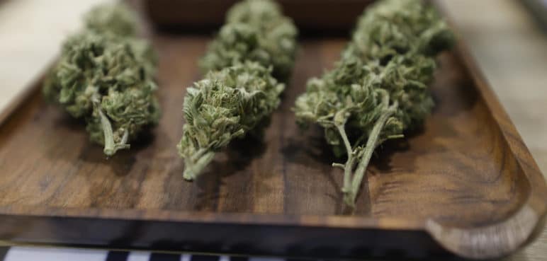 Se hundió: Archivan proyecto para legalizar el cannabis de uso recreativo