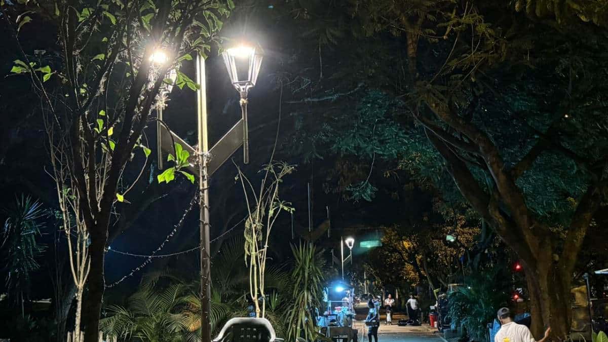 ¿Qué está pasando? Denuncian robo de luminarias en el parque de El Ingenio
