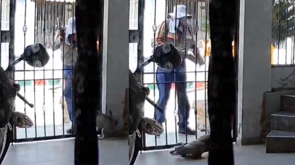 Trabajador de reconocida empresa maltrató a un perrito en Ciudad del Campo