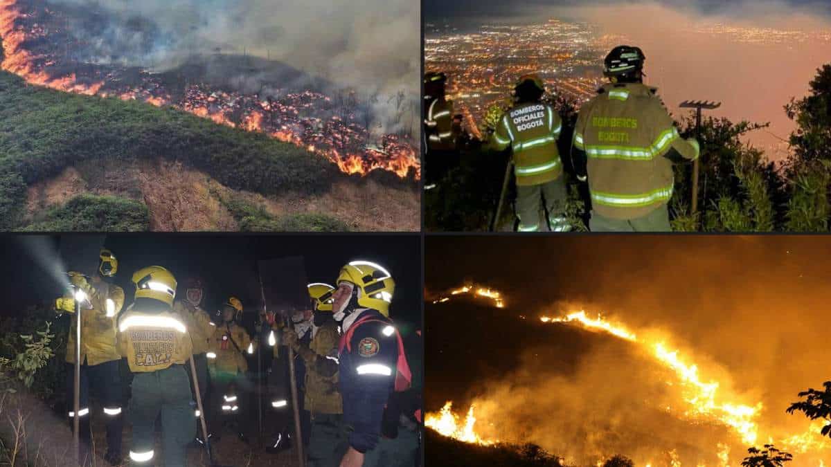 Preocupante: Este es el balance de incendios forestales en Colombia