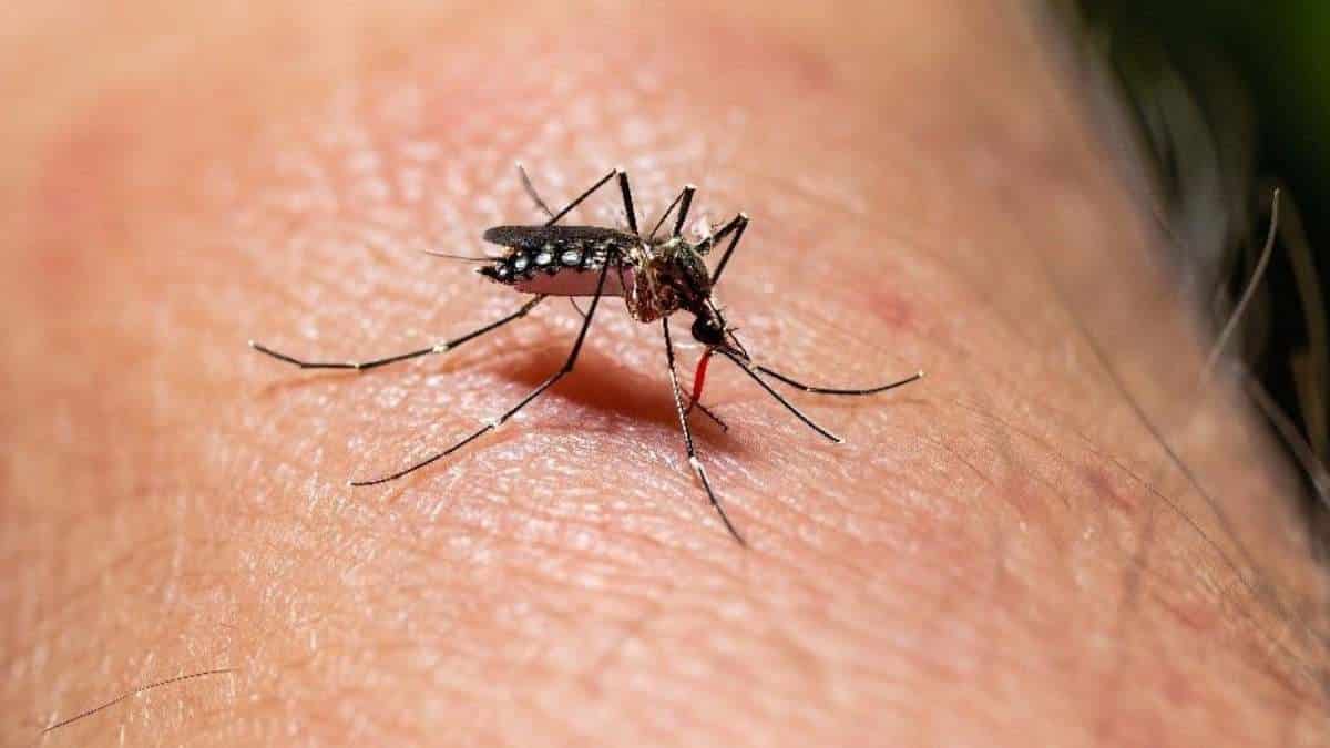 Secretaría de Salud trabaja en contrarrestar  brotes de dengue e infecciones respiratorias