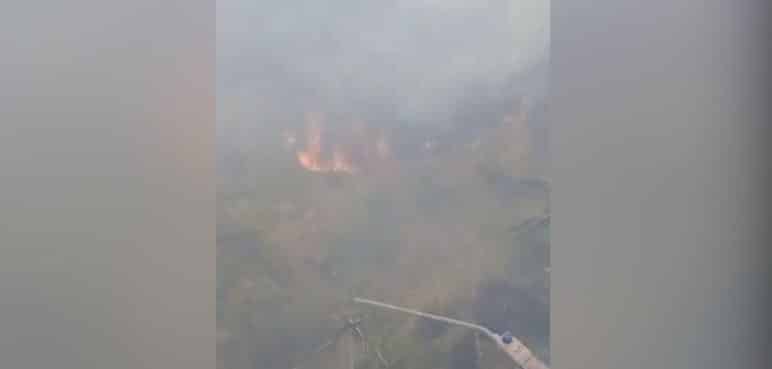 Video: Bomberos intentan controlar un incendio en el barrio El Rodeo de Jamundí