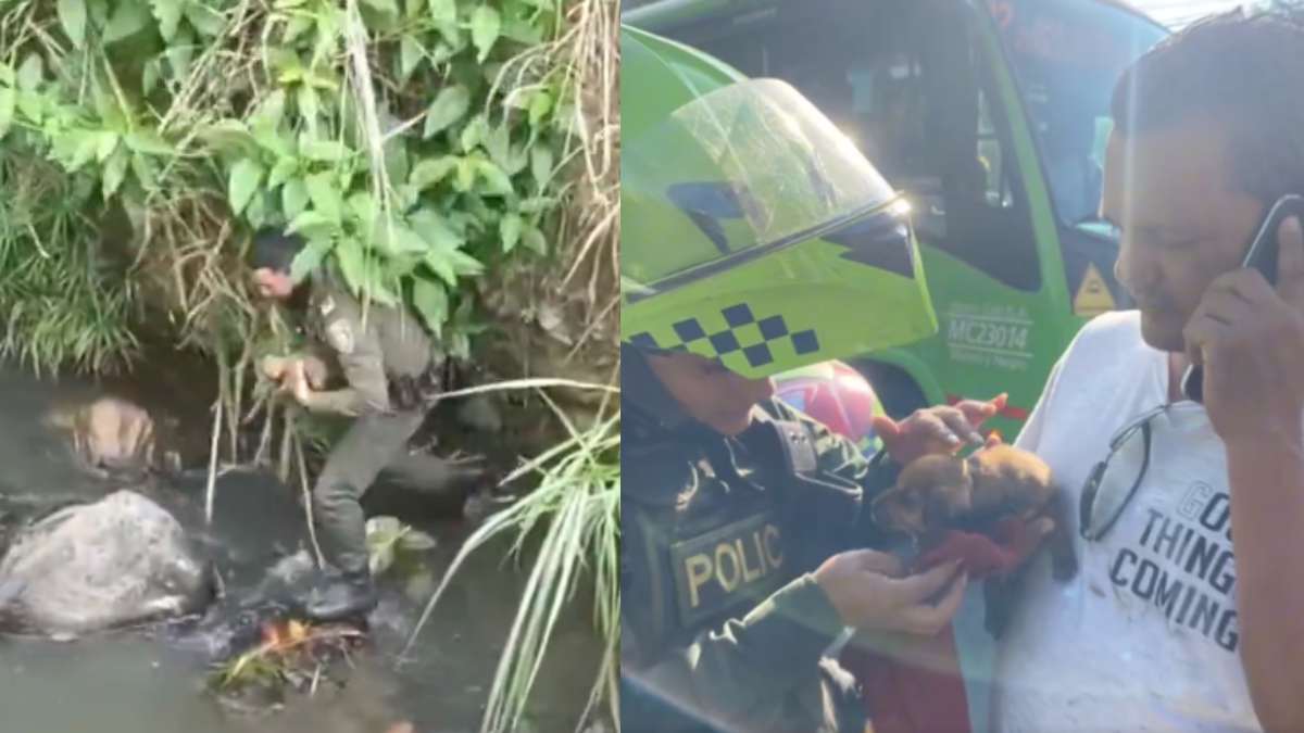 Video: Policía rescató a cachorro que habría sido abandonado en el río Cali