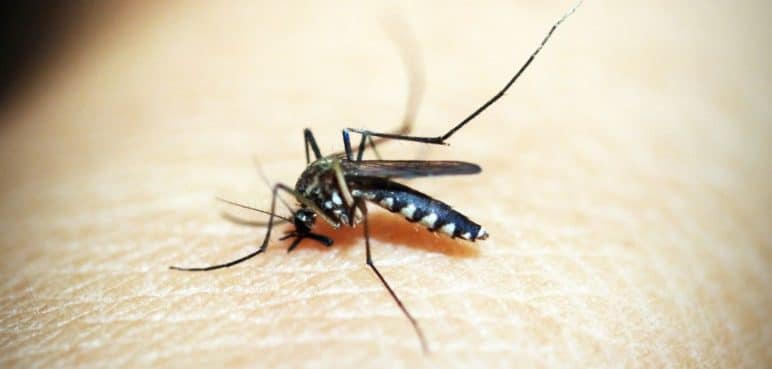 La Secretaría de Salud entregó pruebas de antígenos para detección del dengue