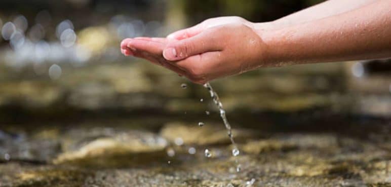 ¡A cuidar el agua! Conozca cómo cuidar del recurso hídrico