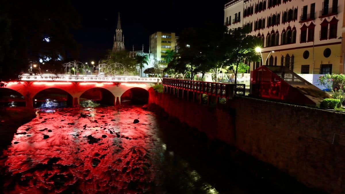 En imágenes: Cali se iluminó de rojo por la celebración del Día de San Valentín
