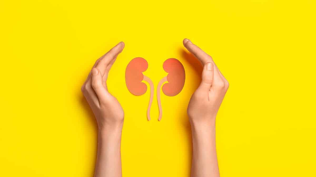Por una buena salud renal: Se celebra el Día Mundial del Riñón