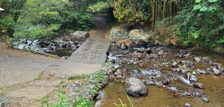 Habitantes de El Ingenio piden intervención urgente del río Meléndez, ¿qué sucede?