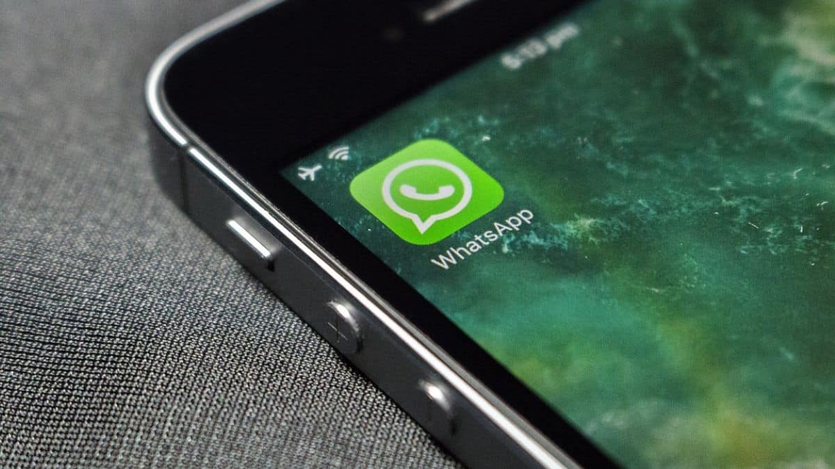 Robo de cuentas de WhatsApp: Esto debería hacer para evitar suplantación