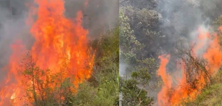 Continúa emergencia por incendio en zona rural de Yumbo y La Cumbre, Valle