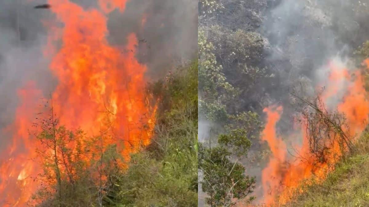 Continúa emergencia por incendio en zona rural de Yumbo y La Cumbre, Valle