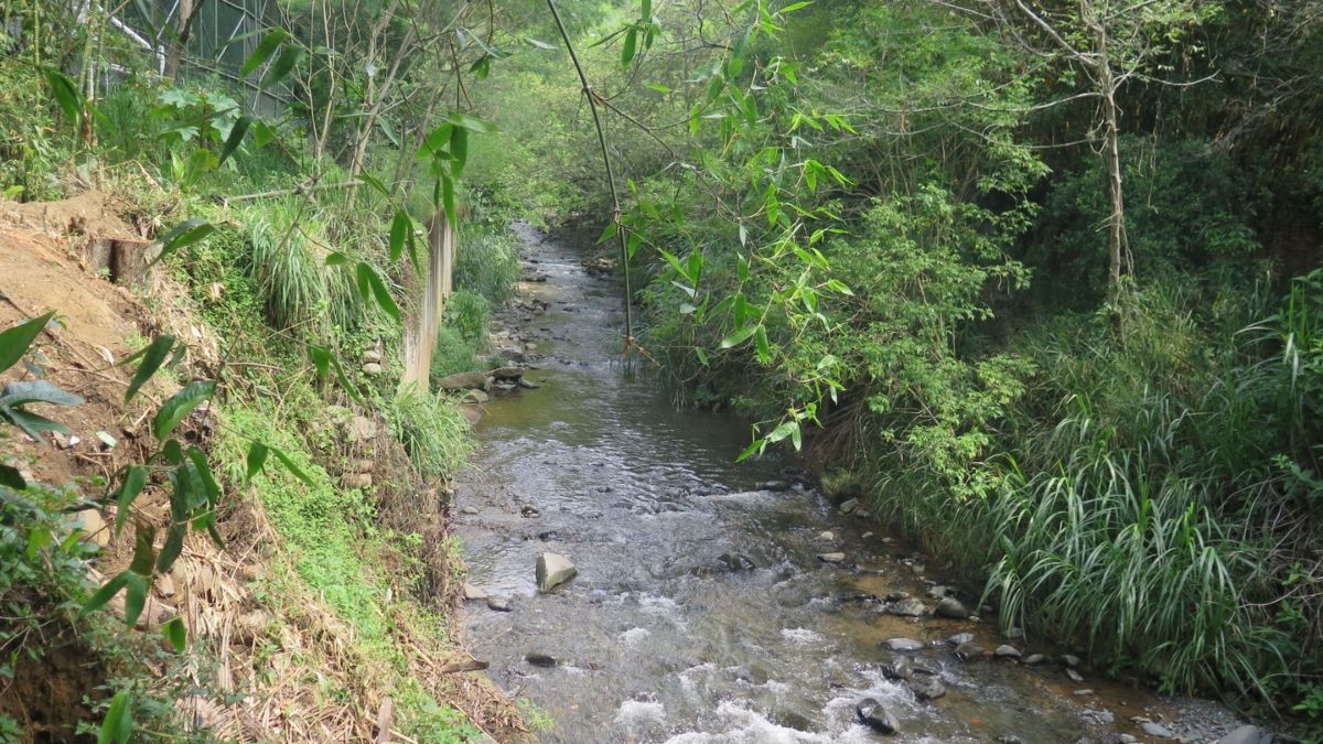 río-aguacatal-contaminación