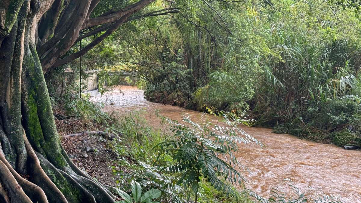 Aumenta caudal de los ríos de Cali tras recientes lluvias