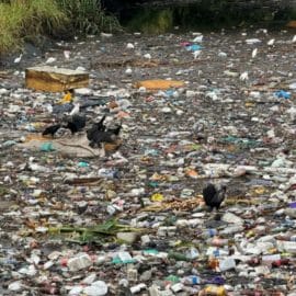 Alerta por basuras en canales de agua lluvia: Invierno podría causar estragos