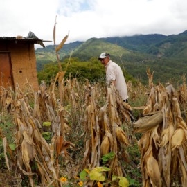 Colombia ingresa en la lista de países con inseguridad alimentaria aguda, según ONU