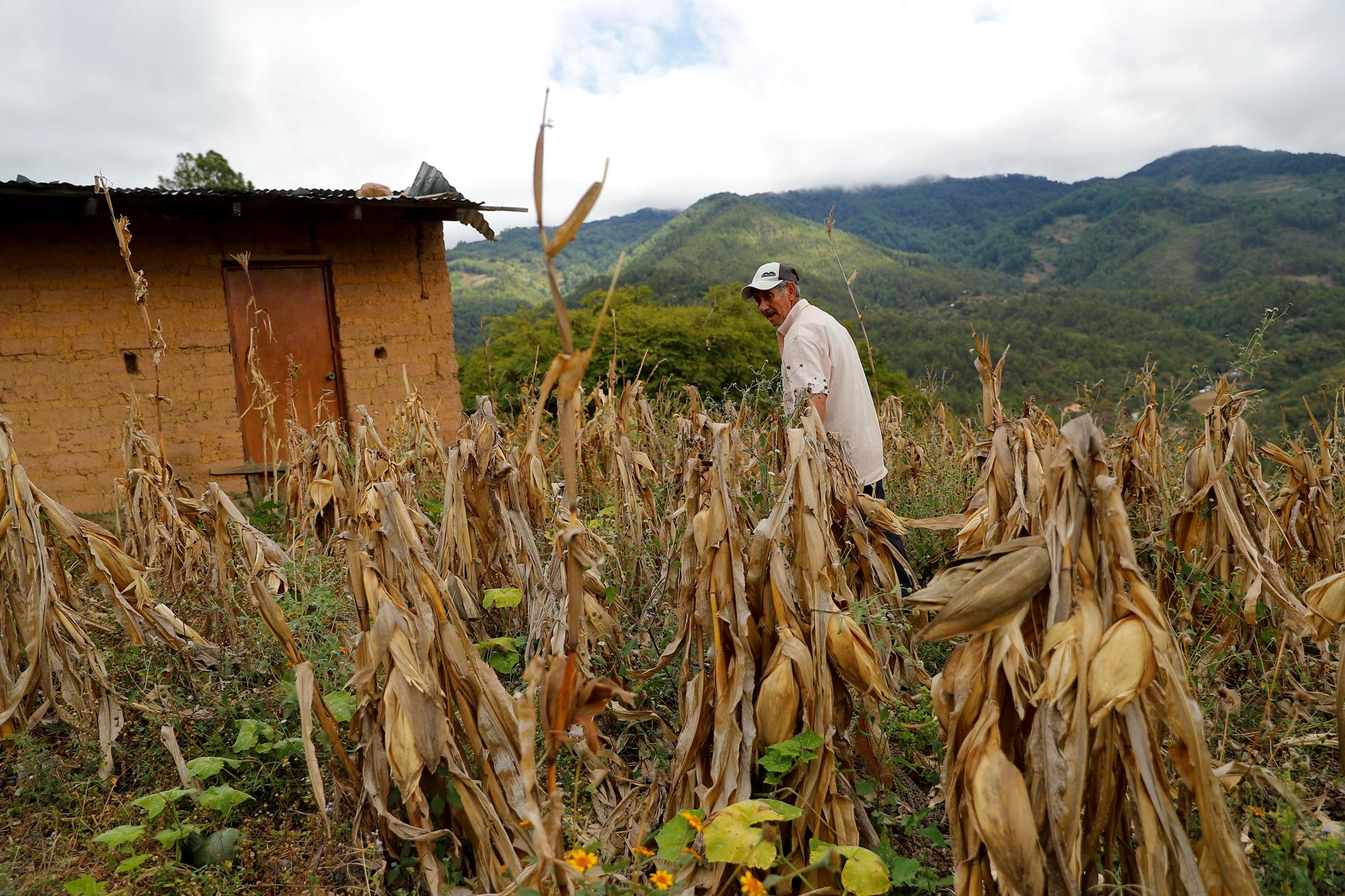 Restitución de tierra en Colombia: ¿Cómo avanza el proceso en el nuevo Gobierno?