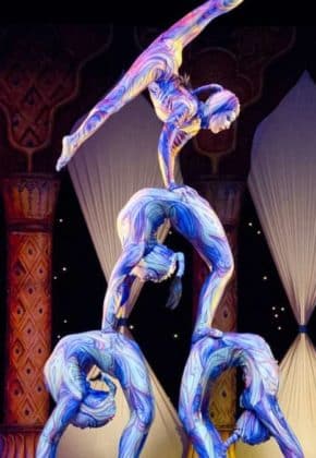 Día Mundial del Circo; espectáculos con acrobacias, risas y aplausos