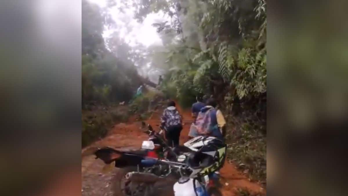 Lluvias causaron derrumbe en la vereda El Faro, zona rural de Cali