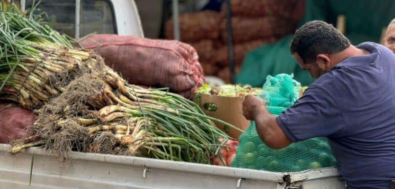 Ingreso de alimentos a Cavasa disminuyó en un 40% por el paro camionero: Gobernación