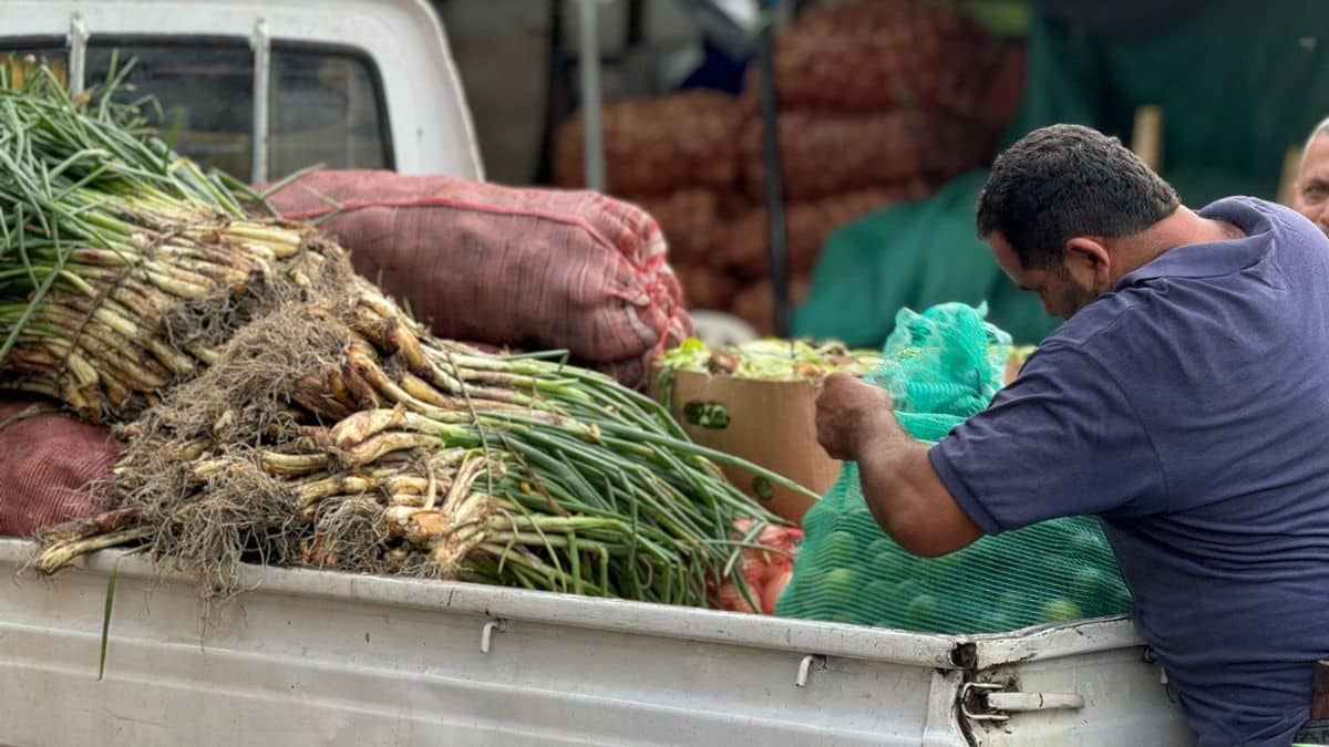 Ingreso de alimentos a Cavasa disminuyó en un 40% por el paro camionero: Gobernación