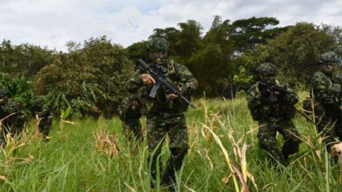 "Bombardeos en el Cauca son para facilitar la llegada al territorio de soldados": MinDefensa aclara