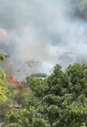 ¡Atención! Incendio forestal en La Buitrera, zona rural de Cali