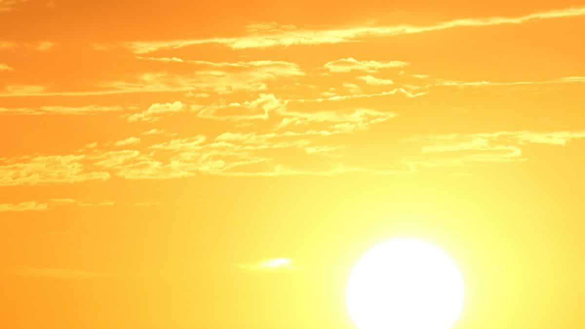 Marzo es el décimo mes consecutivo que batió récord de calor