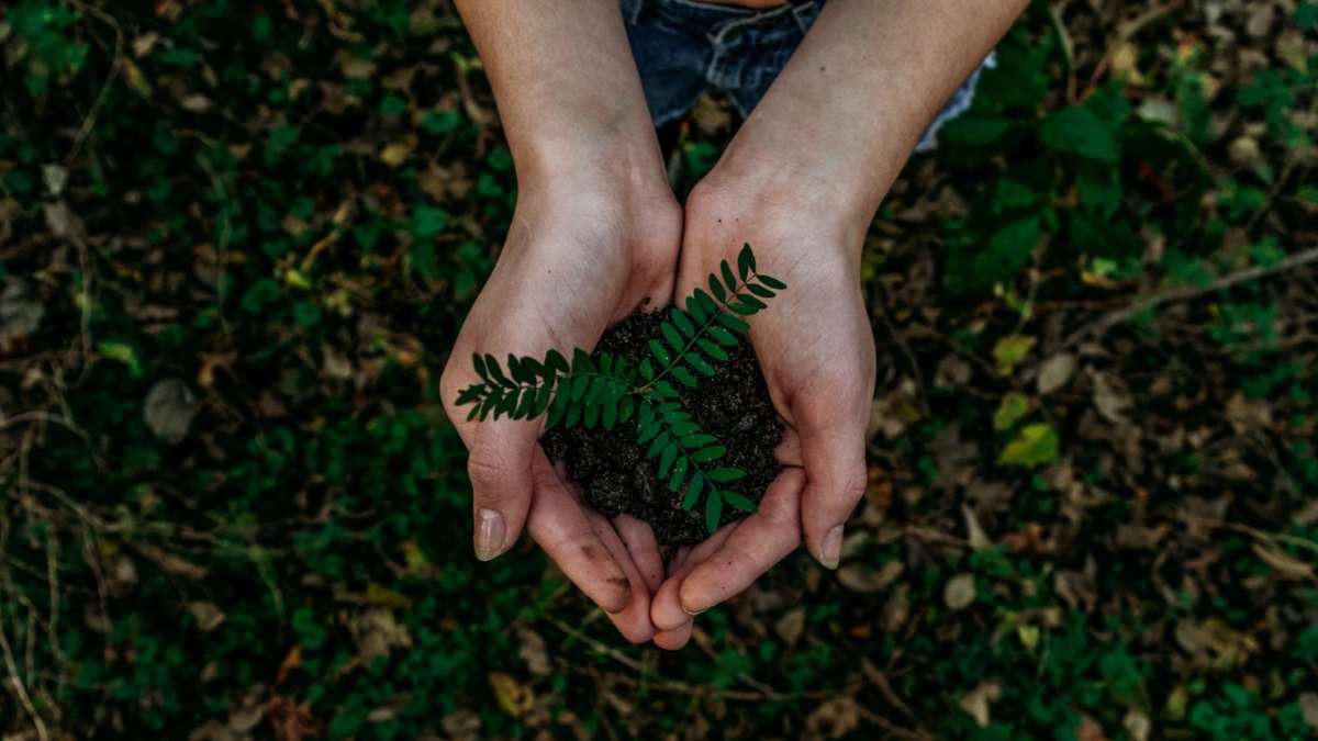 Se celebra el Día de la Tierra: Un día para crear conciencia