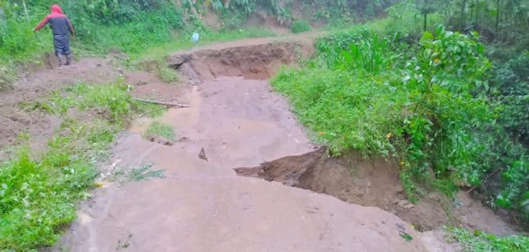 Alerta roja y naranja en municipios del Valle del Cauca por fuertes lluvias