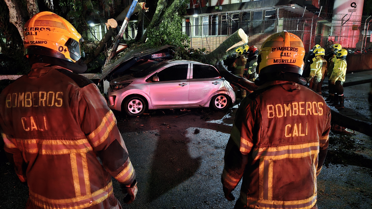 Emergencias en Cali por lluvias: Enorme árbol cayó cerca a la Clínica Rafael Uribe