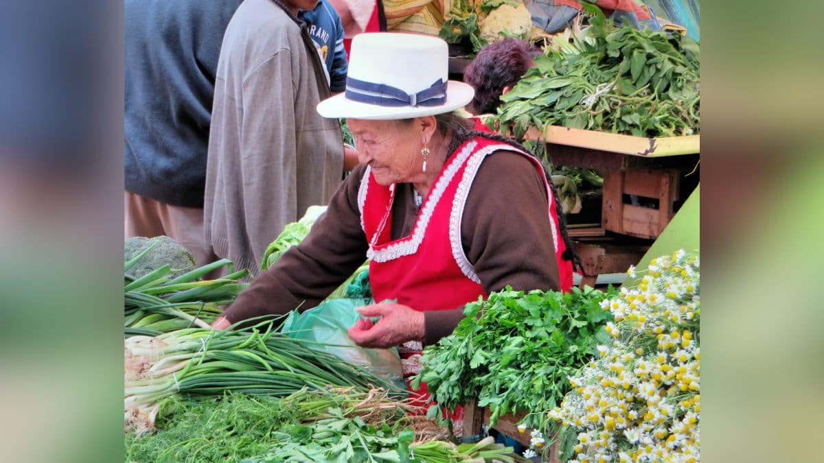 Nueva apuesta por la economía popular en el Sureste colombiano