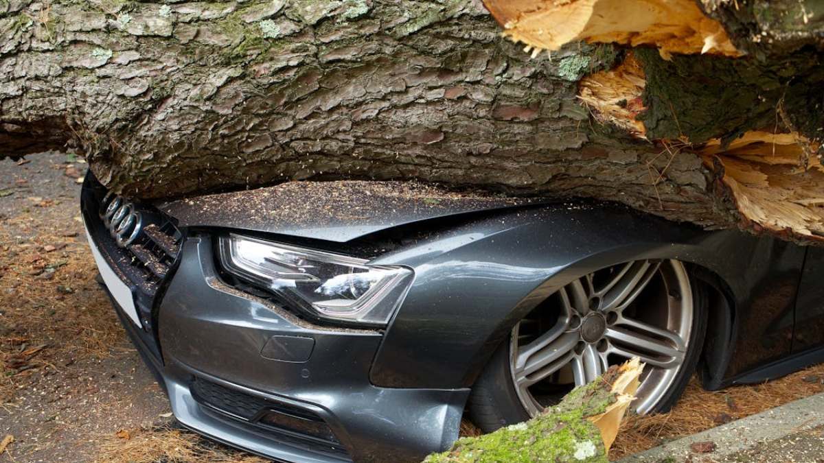 Así funciona el seguro todo riesgo de un vehículo; lo podría salvar ante una tragedia