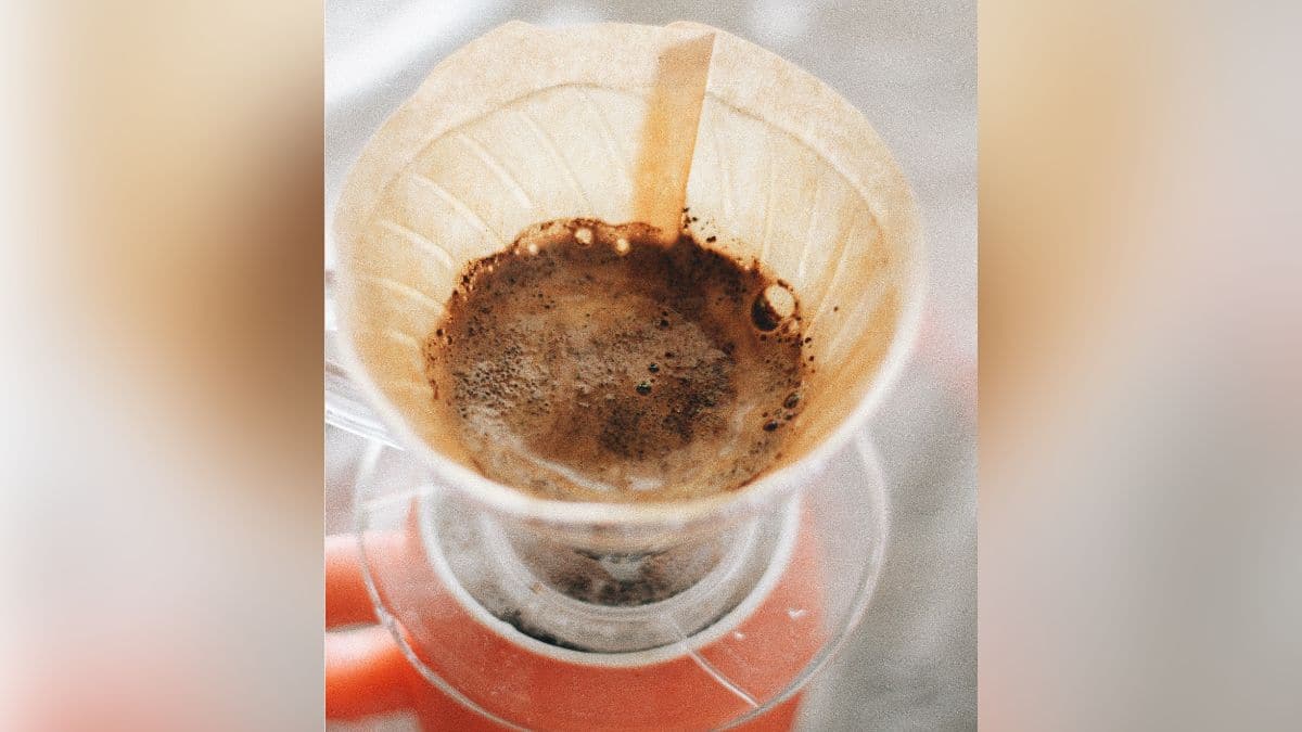 Estos son los sorprendentes usos del cuncho de café que no conocías