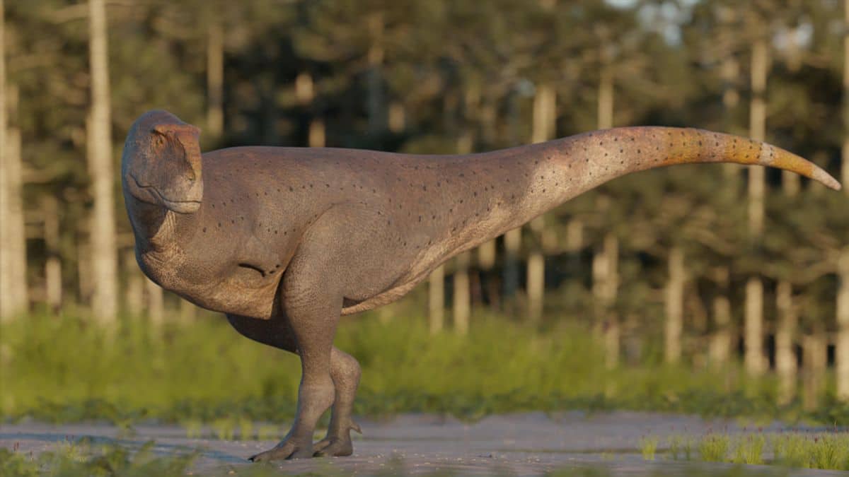 dinosaurio latino
