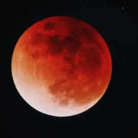 Amantes de la astronomía: Nasa dio fecha del próximo eclipse lunar