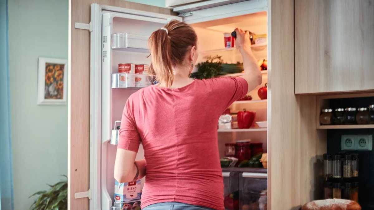 Objetos que no debería guardar en la nevera: Dañan alimentos y perjudican su salud