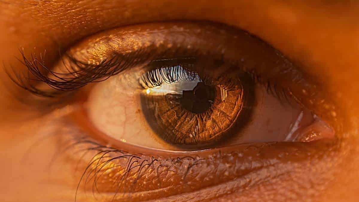 ¿Qué es el glaucoma y por qué debería prestarle atención?