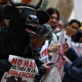 Congreso aprobó proyecto que prohíbe las corridas de toros en Colombia