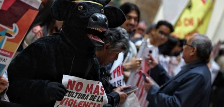 Congreso aprobó proyecto que prohíbe las corridas de toros en Colombia