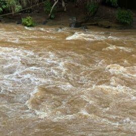 Balance de emergencias tras las fuertes lluvias en Cali; así está el nivel de los ríos